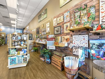 Store showing slatwall and displays with avian art