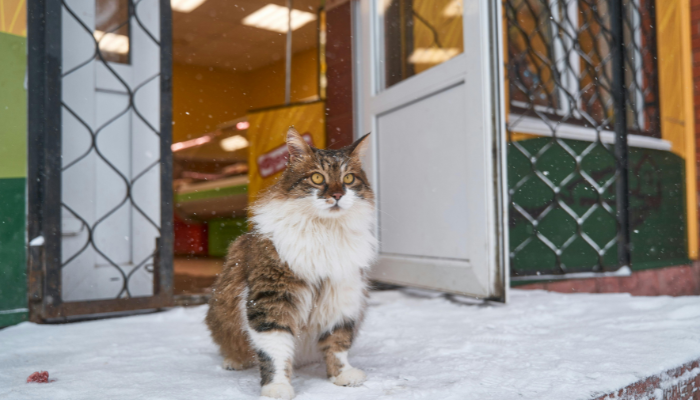 winter storefront